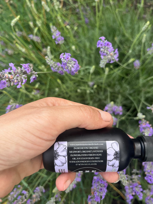 Lavender Mugwort Body Oil