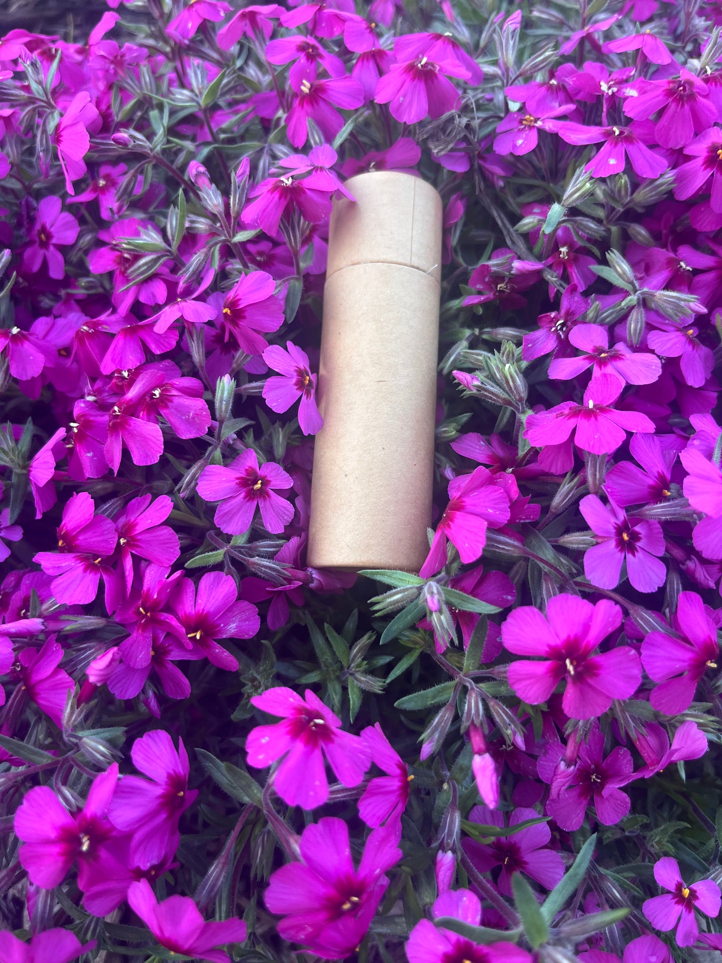 Magic Lip Balm
